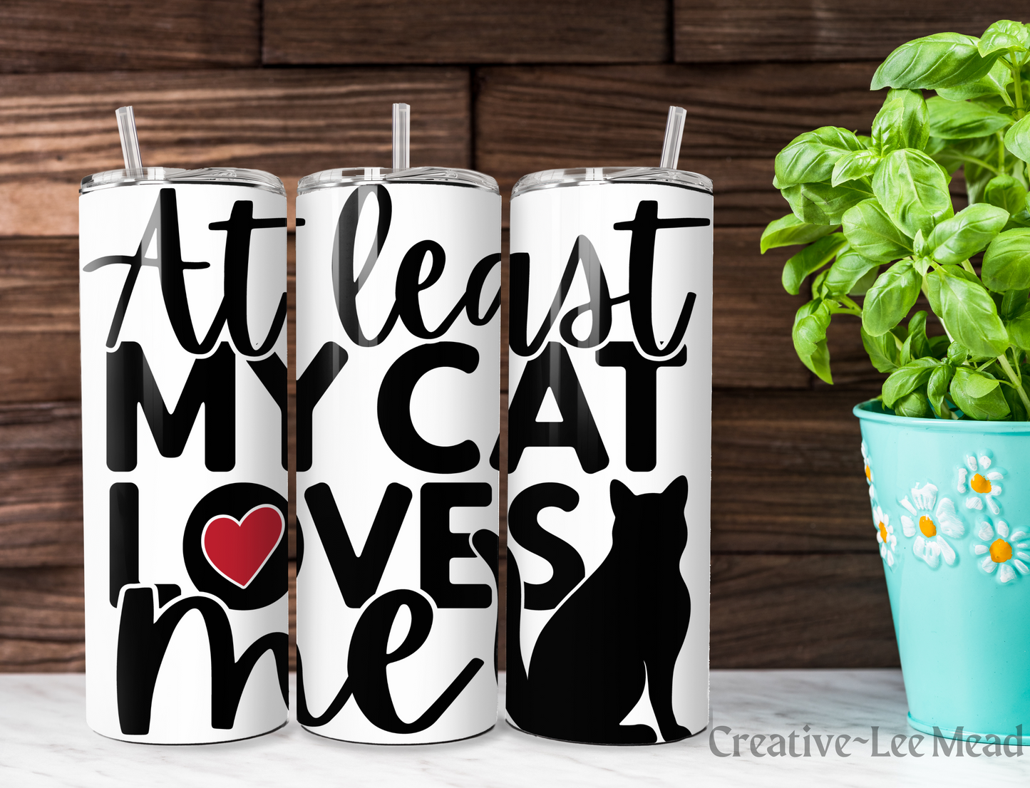 At Least My Cat Loves Me Valentines 20oz Tumbler